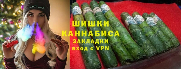 прущие грибы Аркадак